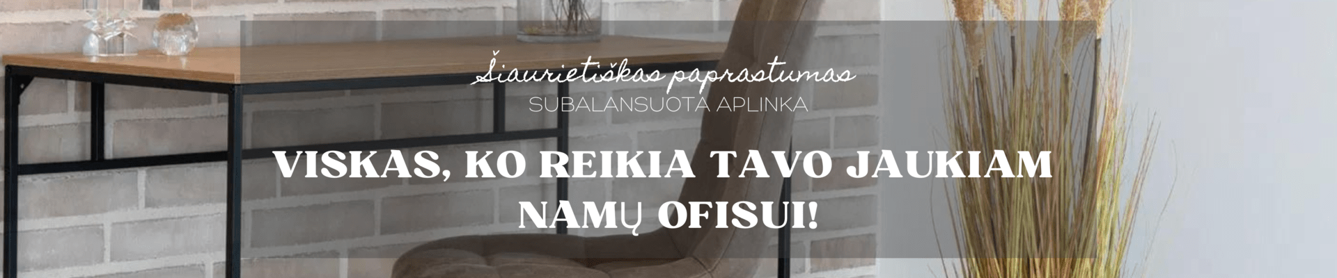 Viskas, ko reikia jaukiam namų ofisui
