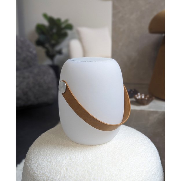 Bristol LED Lamp